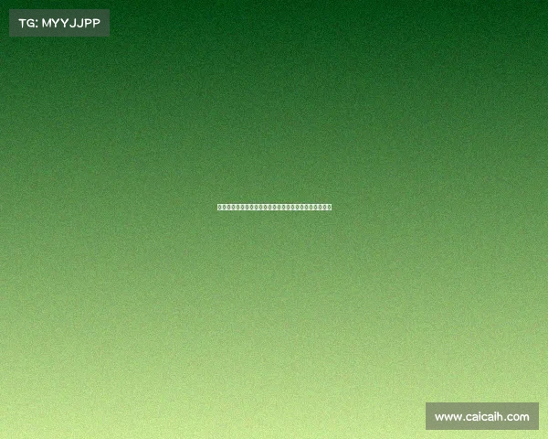 英超球队如何借助主场优势提升战绩并塑造强大主场气氛