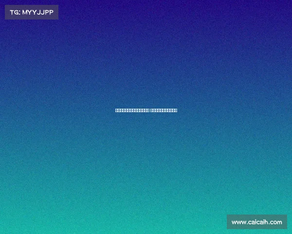 图卢兹周边深度游探索发现之旅 古城风貌与现代活力并存