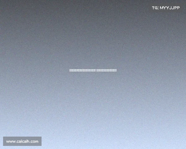 申京欧洲杯爆发背后:特训训练师助力 休赛期投射训练打造信心提升